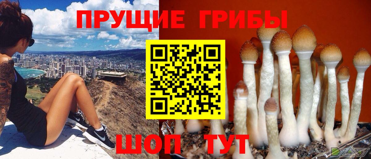 Галлюциногенные грибы мухоморы Камышин