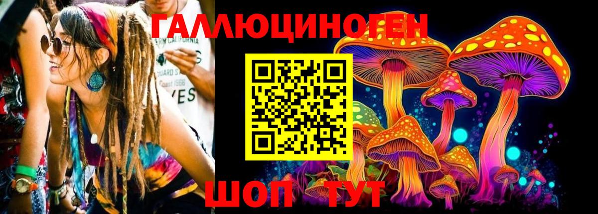 Галлюциногенные грибы Magic Shrooms  Вход с VPN  Камышин 